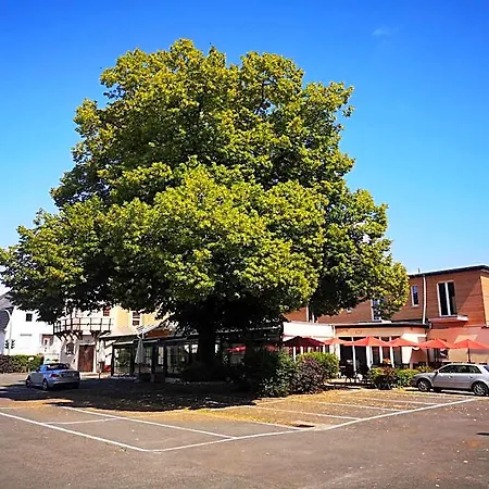 Hotel Zur Muehle 3*