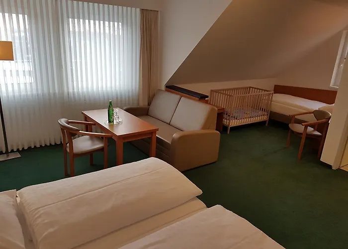Hotel Zur Muehle 3*